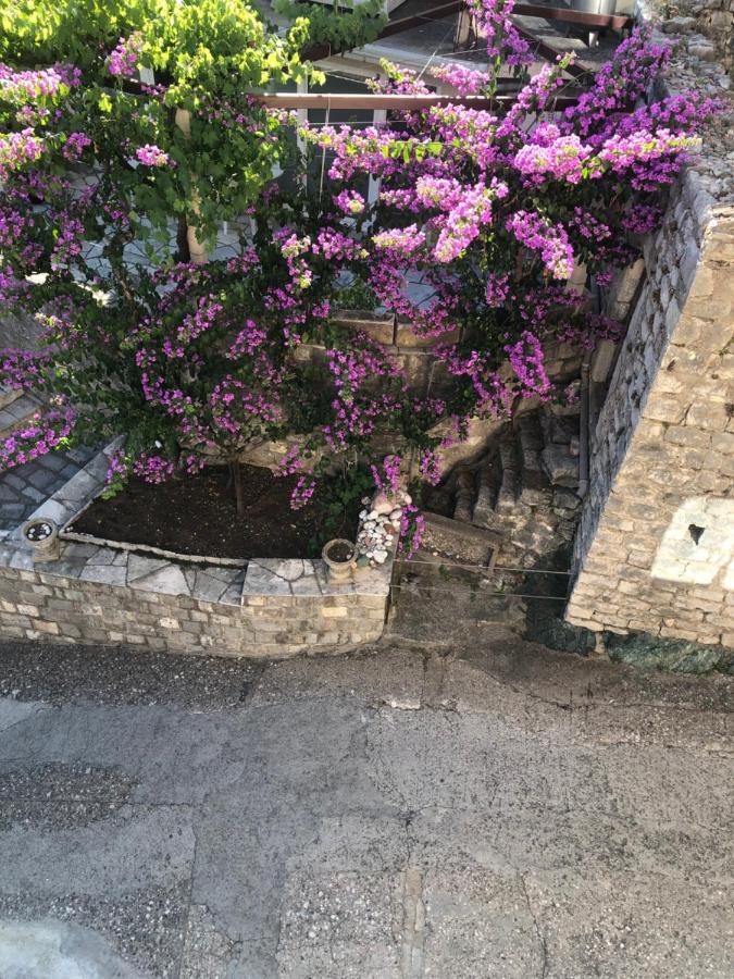 Apartments Rafailovic Ljubo ラファイロヴィチ エクステリア 写真