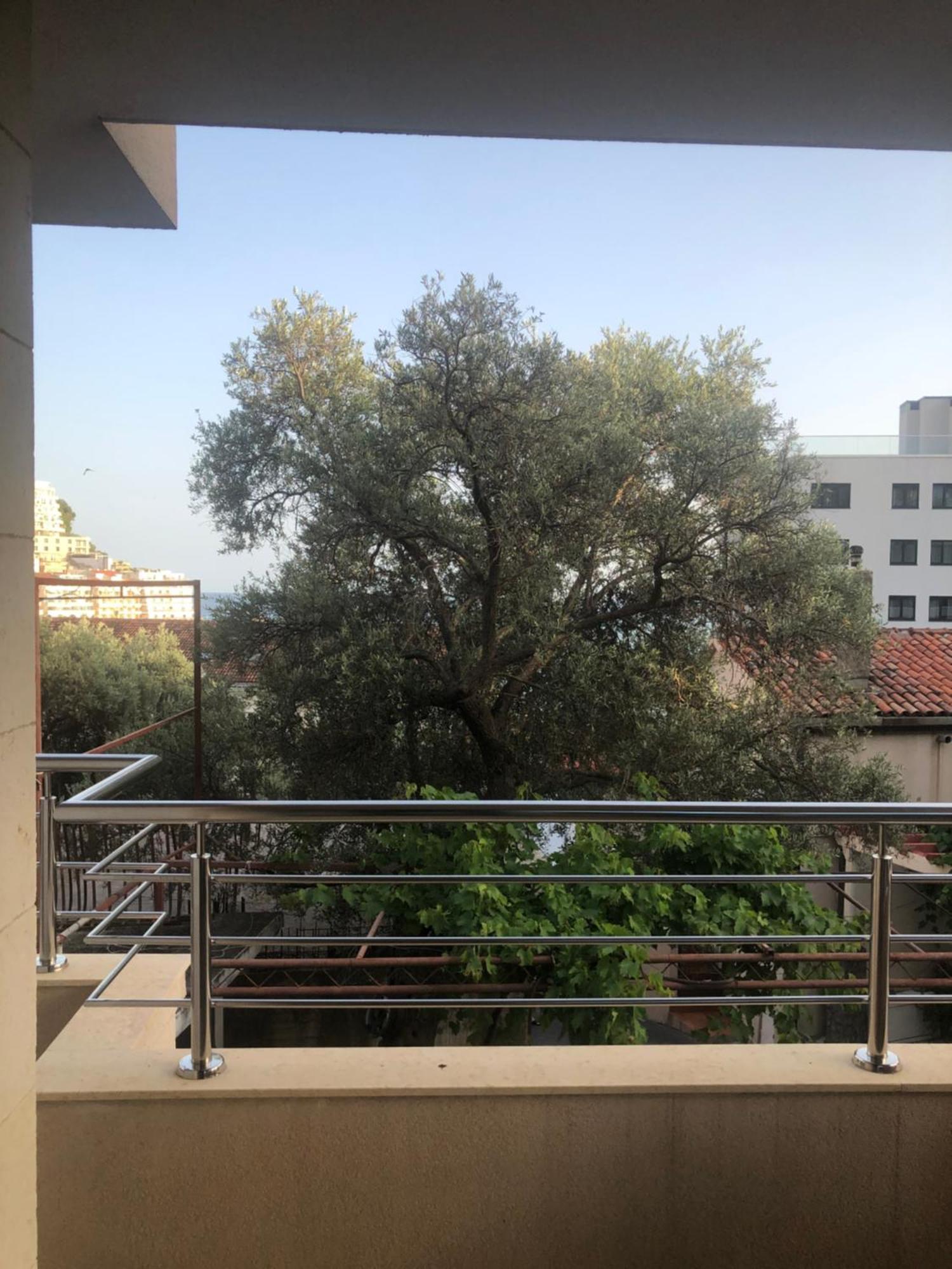 Apartments Rafailovic Ljubo ラファイロヴィチ エクステリア 写真